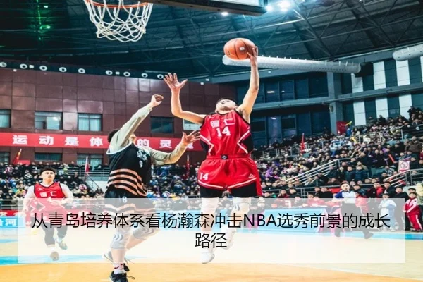 从青岛培养体系看杨瀚森冲击NBA选秀前景的成长路径